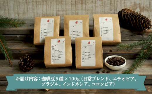 珈琲豆セット(100g×5種)北海道三笠市 2BeansCoffeeカフェ自家焙煎 【06001】