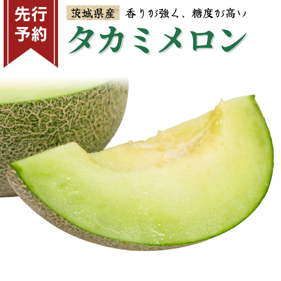 【ふるさと納税】 ＼ 選べる内容量 ／《 先行予約 》茨城県産 タカミ メロン【 2025年発送 】 タカミメロン たかみメロン 果物 フルーツ 青肉 めろん 大玉 3Lサイズ 期間限定 旬 国産 貴味メロン