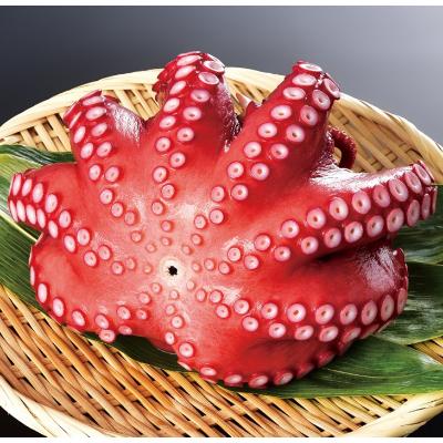 ふるさと納税 白糠町 北海道旨味たこ (1.0kg以上×1杯) たこブツもオススメ |  | 01