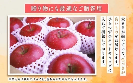 2027年4月発送　贈答用葉とらずサンふじ10kg【青森県 平川市 そと川りんご園】
