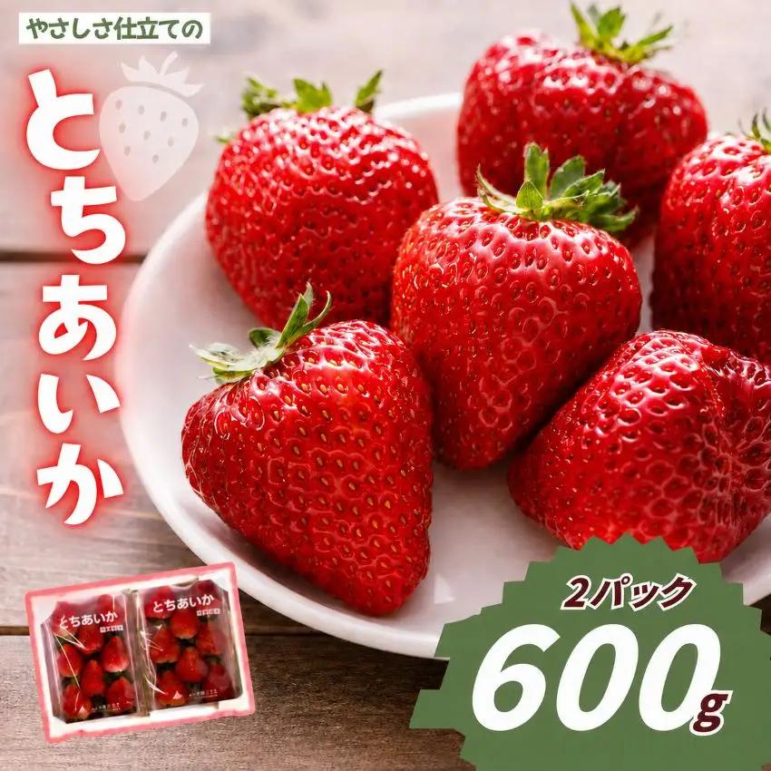 やさしさ仕立ての とちあいか 300g×2P 【2027年先行予約】 栃木県 矢板市