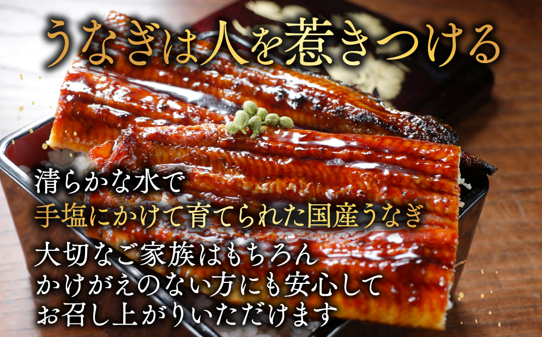 国産 希少 極大 特上うなぎ(250g×4尾)【OT000OE40】