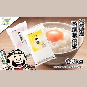 元気くん市場  宮城の美味しいお米食べ比べセット（Ｃ）【mygs009】
