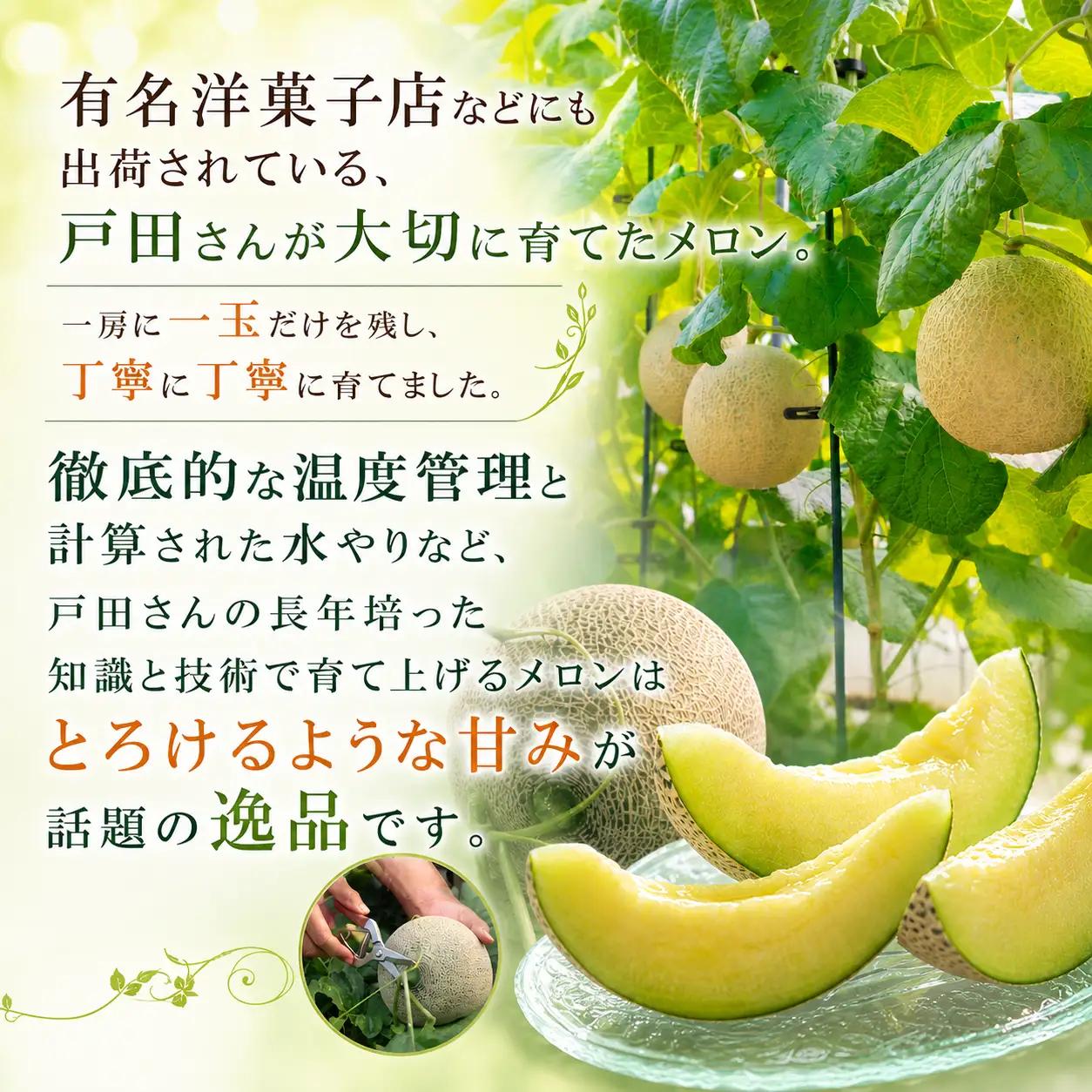 メロン 訳あり【約1.3kg×3玉】通年発送  アクア メロン