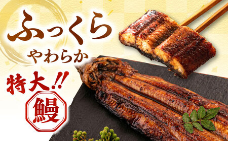 全3回定期便 特大！ 鹿児島産うなぎ 蒲焼2尾セット 桂川町/山水商事 [ADAH012] ウナギ 鰻 うなぎセット 特大鰻 定期便 特大