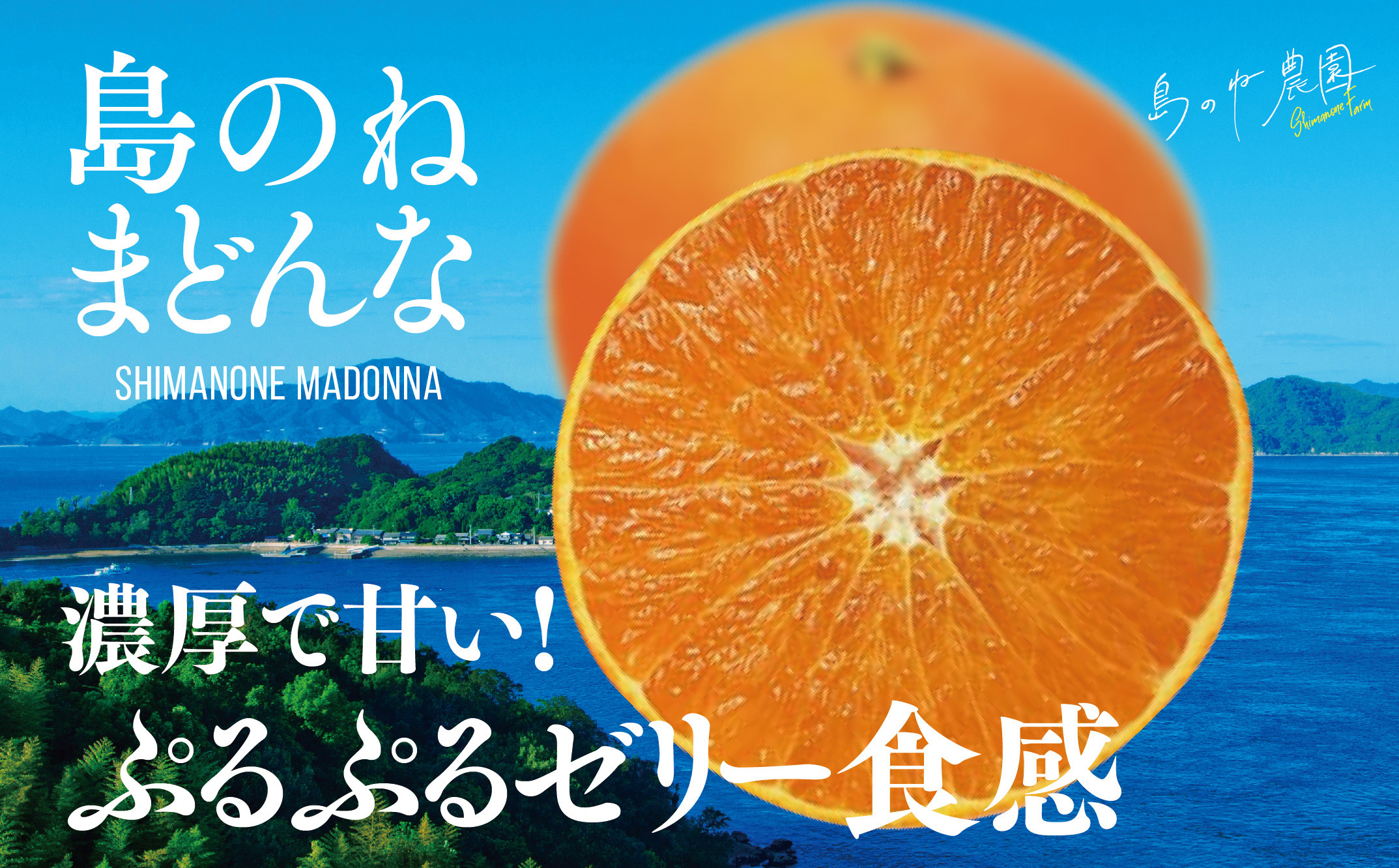 
            【先行予約】島のね農園 まどんな(4kg) 【K001620】
          