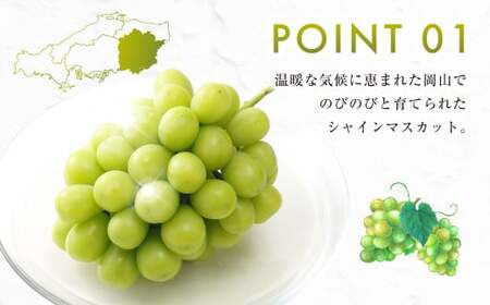 【ふるなびWEEK対象】シャインマスカット 晴王 2kg FN-Limited ぶどう 葡萄 フルーツ 果物 岡山県 岡山県産 2026年 先行予約 【2026年9月下旬-10月下旬発送予定】