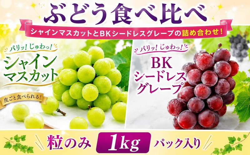 
                  【先行予約：2026年8月下旬～発送】ぶどう食べ比べ 2種類以上 シャインマスカット BKシードレスグレープ 家庭用 粒バラ パック入り 1kg 詰め合わせ 国産 ぶどう グレープ ベリー 巨峰 フルーツ 果物 期間限定 新鮮 果実 産地直送 農家直送 特産品 甘い さわやか ジューシー 不揃い 愛媛県 愛南町 第一マルエム青果有限会社
                