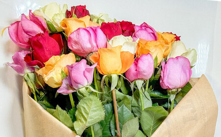 バラの花束 混合（20‐30本）| 花 バラ 薔薇 生花 ローズ 花束 ブーケ 贈り物 プレゼント ギフト【2026年11月下旬頃迄発送予定】