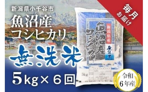 
KT74P345 令和6年産 無洗米 魚沼産コシヒカリ定期便5kg×6回（毎月お届け）（米太）
