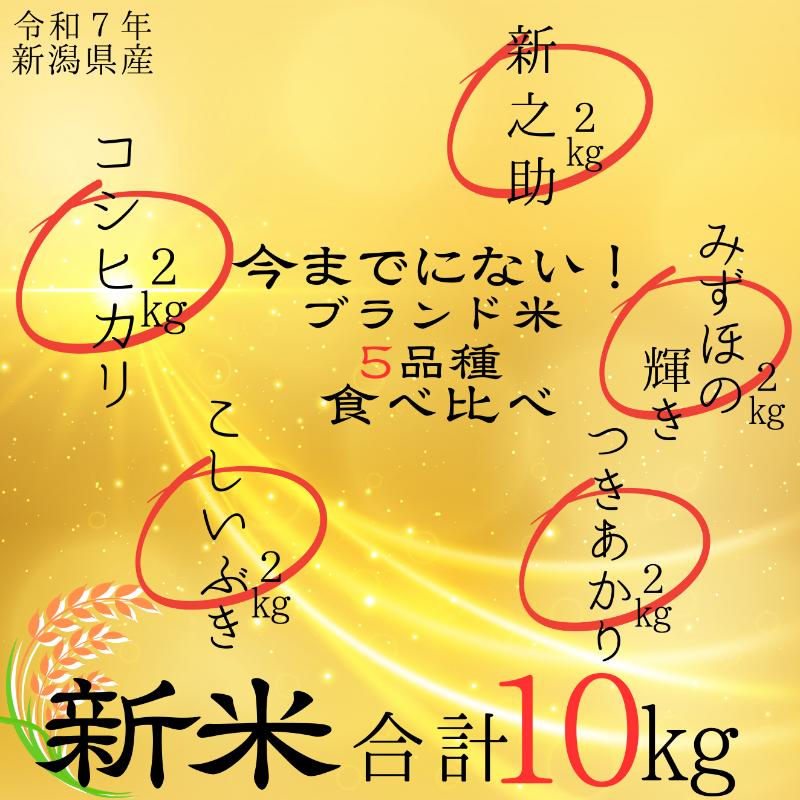 【ふるさと納税】令和7年度産　新潟県上越市産米5品種食べ比べセット　5種×2kg　新米　精米　新潟　米　コシヒカリ　新之助　こしいぶき　つきあかり　みずほの輝き　新潟県　限定　おすすめ　お届け：10月下旬～12月下旬