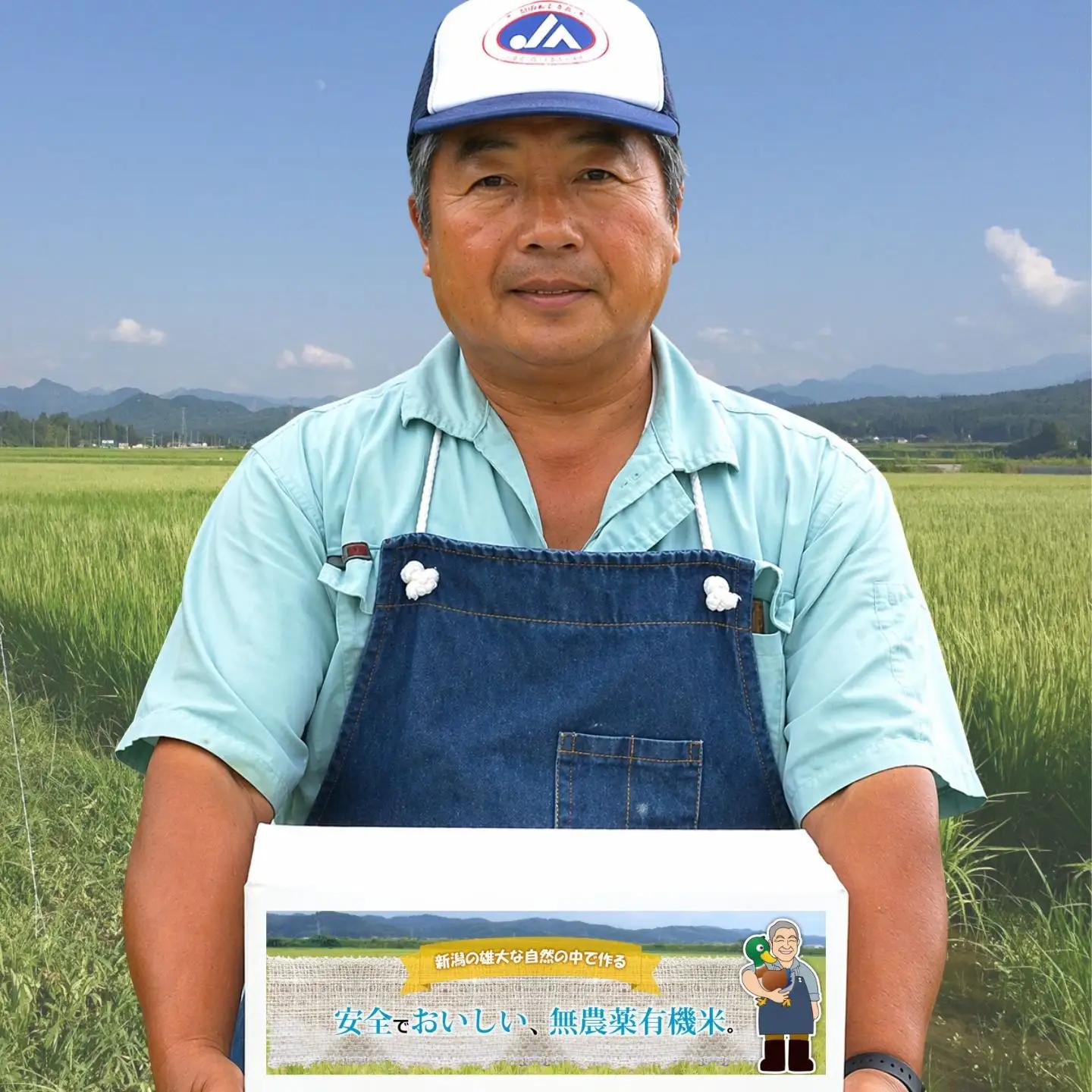 特別栽培米コシヒカリ 白米 10kg 新潟県産 令和7年産 [佐藤農産有機センター]【018S050】