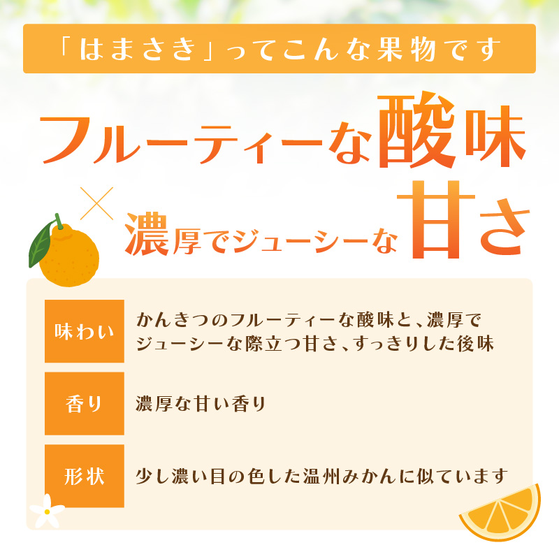 佐賀産 柑橘 「はまさき」 約1.5kg箱 (4-7玉) 147-B806