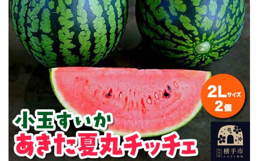 小玉すいか（あきた夏丸チッチェ）2Lサイズ2個入 すいか [秋田県 オリジナルブランド スイカ]