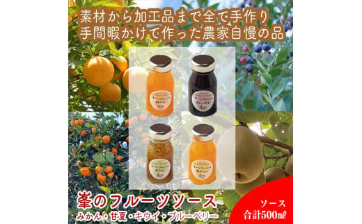 手づくりジャムソース 4本セット 手作りみかん キウイ あまなつ ブルーベリー 125ml 詰め合わせ ギフト 【 家庭用 自宅用 贈答品 贈答用 ギフト お取り寄せ お中元 お歳暮 贈り物 お祝い 神奈川県 小田原市 】 142069_EZ010