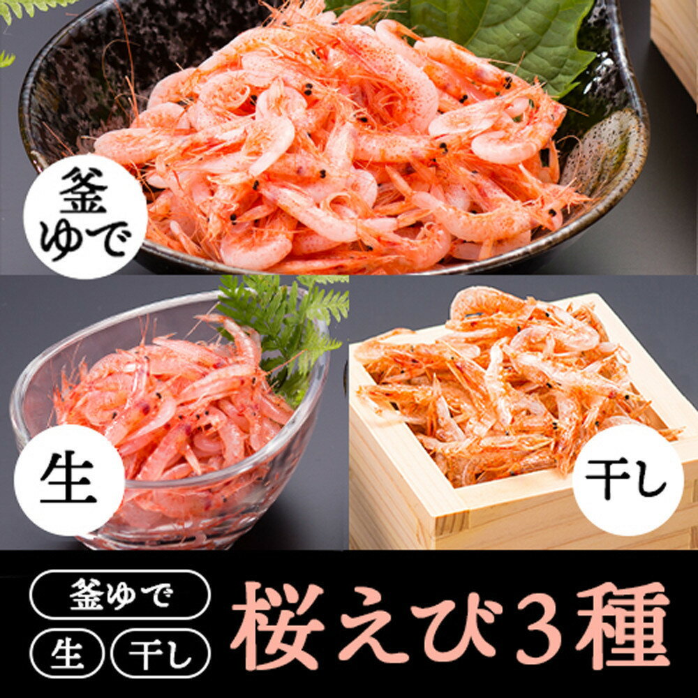 【ふるさと納税】桜えび3種セット【配送不可：離島】