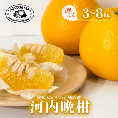 【ふるさと納税】【太陽の恵みをギュッと凝縮】河内晩柑　3kg / 5kg / 8kg 【新口農園】_ 河内晩柑 晩柑 かわちばんかん みかん ミカン 蜜柑 愛媛県 国産 和製グレープフルーツ 果物 くだもの フルーツ デザート かんきつ 柑橘 柑橘類 【G1615822】