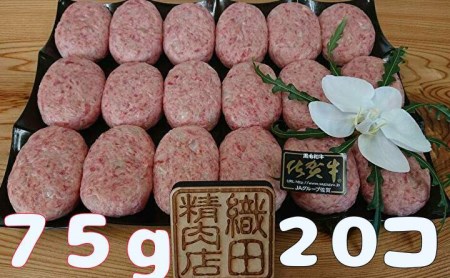 佐賀牛使用 お弁当ハンバーグ _b-273