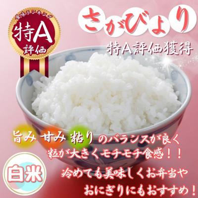 ふるさと納税 伊万里市 令和7年産さがびより【白米】10kg(5kg×2袋)【特A評価】《マイスターセレクト》(伊万里市) |  | 01