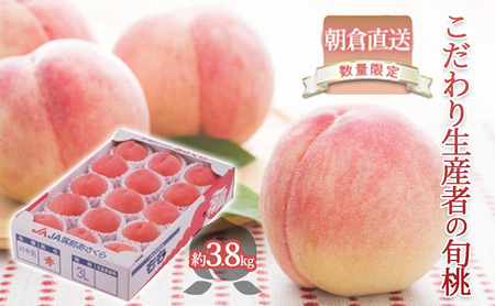 【数量限定】 桃 もも モモ 3.8kg 2026年 発送 フルーツ 桃