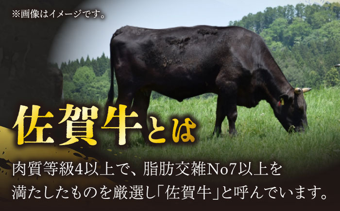 【3回定期便】佐賀牛 ロース うすぎり 計600g（300g×2p）【一ノ瀬畜産】 [NAC146] 肉 精肉 牛肉 佐賀牛 佐賀県産 黒毛和牛