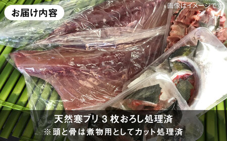 壱岐島産天然寒ブリ（12ｷﾛ台・3枚おろし）[JBS111]