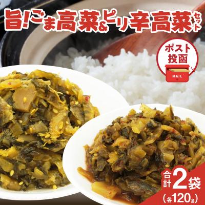 ふるさと納税 都農町 ＼ポスト投函/旨ごま高菜&amp;ピリ辛高菜セット 計2袋(各120g) 漬物 おかず_T025-026