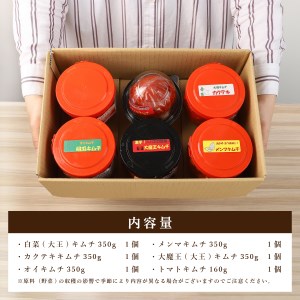 キムチ 詰め合わせ 6種類 キムチ彩りセット 食べ比べ 詰め合わせ 白菜 カクテキ 小分け 漬物 人気 