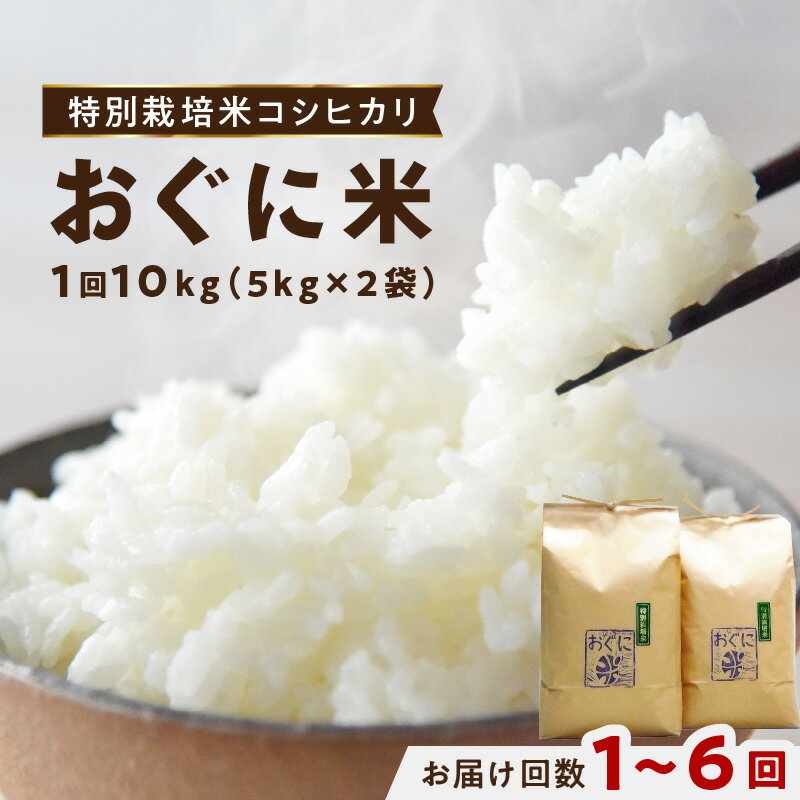 【ふるさと納税】【先行予約】【令和7年産】浜田市金城町産の美味しいコシヒカリ100％【おぐに米】【10kg/ 1回 6回】 米 おこめ コシヒカリ 白米 精米 特産品 ごはん お取り寄せ 小分け 選べる 定期便