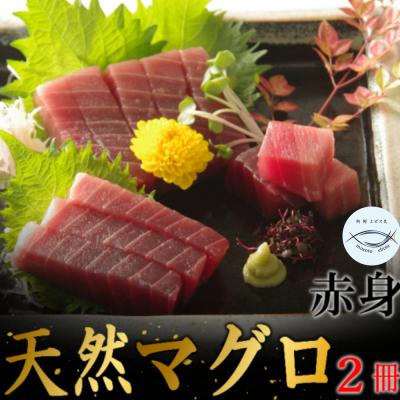 ふるさと納税 室戸市 【赤身】天然南マグロ　赤身　2柵