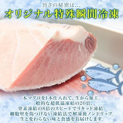 ふるさと納税 函館市 大間産 本マグロ 2種 赤身 約160g 中トロ 約160g_HD144-010 |  | 02