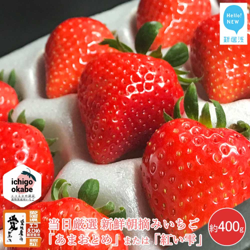 【先行予約】 フルーツ いちご 苺 「あまおとめ」 または 「紅い雫」 厳選大玉 約400g エコえひめ認証 愛媛県 オリジナルブランド品種 箱入り クール便 新鮮 朝摘み 収穫当日発送 ichigo okabe 【期間限定】【3月より発送】