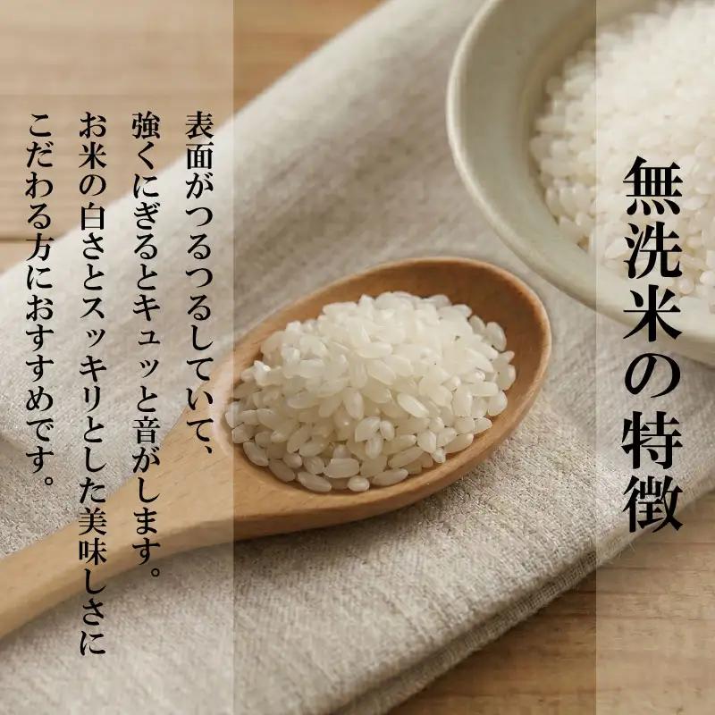 令和7年産 無洗米 5kg 栽培期間中農薬不使用 米 白米 お米 コメ こしひかり コシヒカリ おむすび おにぎり 徳島県産 小松島市
