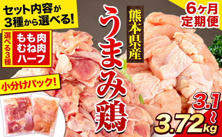 
            【6ヶ月定期便】鶏肉 選べる もも肉 or むね肉 うまみ鶏 大容量 便利な 小分け 鶏もも肉 鶏むね肉 冷凍 もも モモ むね ムネ 若どり 定期便 個包装 熊本県産《お申込み月の翌月から出荷開始》
          