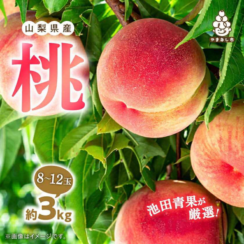 【ふるさと納税】【2025年先行予約】桃 約3kg (8玉～12玉) 厳選 ! 池田青果の もも_桃 山梨 もも モモ フルーツ 果物 くだもの 山梨県 山梨市 山梨 ふるさと 人気 送料無料【配送不可地域：離島・沖縄県】【1280521】