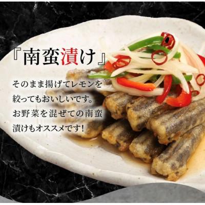 ふるさと納税 延岡市 宮崎産 深海魚 めひかり唐揚げ 使い切り 150g×6パック メヒカリ 簡単 冷凍 揚げるだけ |  | 02