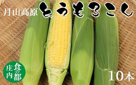 
            食の都庄内　庄内の月山高原とうもろこし
          