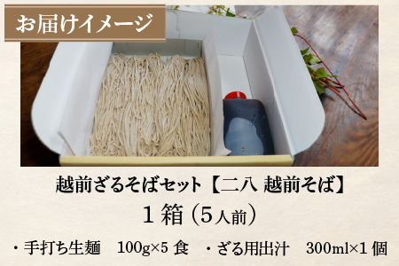 【先行予約】【年越しそば】【12月29日着】ざるそばセット 5人前 【到着日選べる】＜福井県産 最高級そば粉使用！＞／ 冷蔵 生麺 5食 二八 出汁付き 越前そば 年内発送 蕎麦