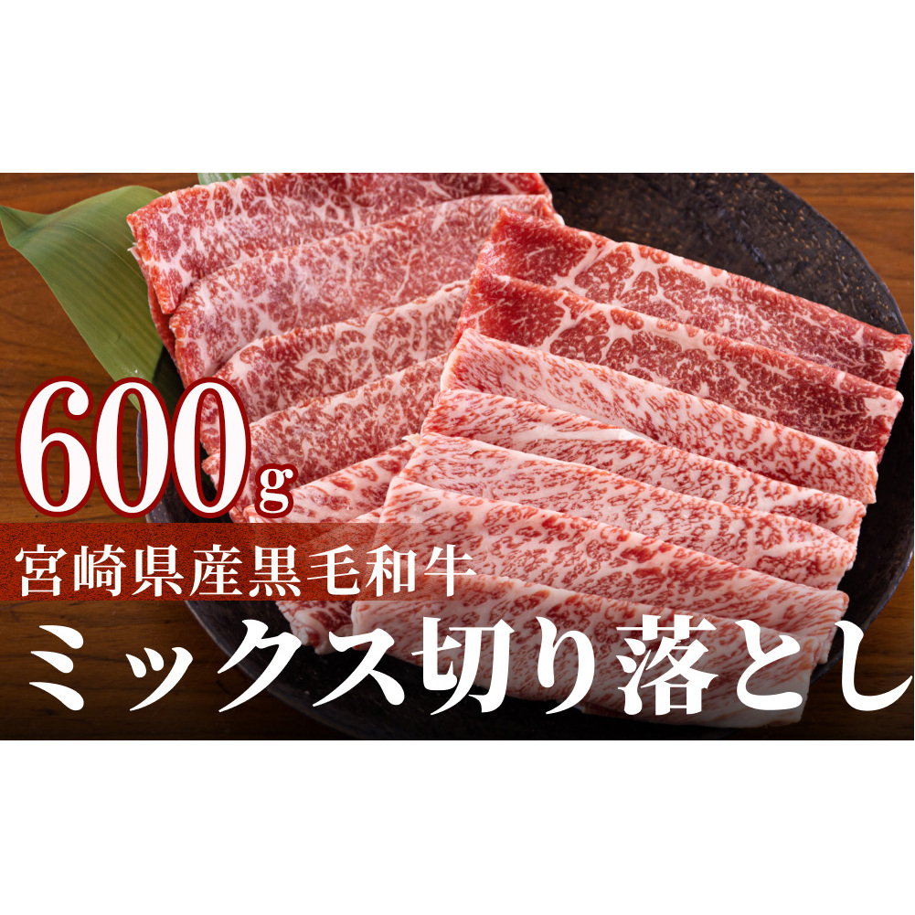 宮崎県産 黒毛和牛 切り落とし 300g×2 計600g [日本ハムマーケティング 宮崎県 美郷町 31bd0013] 小分け モモ カタ バラ ミックス 冷凍 送料無料 国産 牛 肉 切落し 牛丼