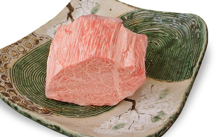 【 希少部位 】飛騨牛 A5 等級　ヒレ 肉 ブロック 約500g | 肉のかた山 キャンプ camp バーベキュー bbq ブロック肉 M61S01