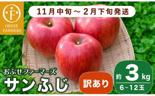 【訳あり】 先行受付 サンふじ 約3kg 6～12玉［おぶせファーマーズ］ 不揃い 規格外 家庭用 りんご 林檎 リンゴ 果物 フルーツ ふじ 長野 信州 数量限定 令和8年度産  【2026年11月中旬～2027年2月下旬発送】［FH-51］