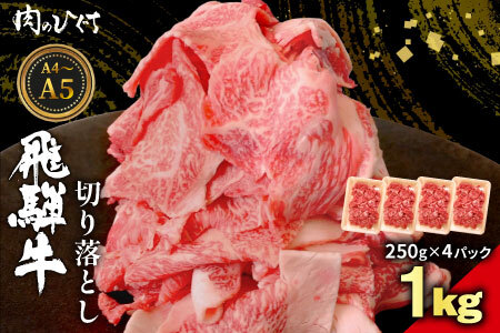 飛騨牛 切り落とし 1kg（250g×4P） A5 A4 国産 牛 黒毛和牛 和牛 牛肉 薄切り 訳あり 牛丼 すき焼き しゃぶしゃぶ 肉のひぐち
