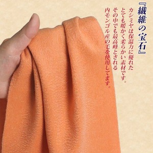 高級 カシミヤ100％ 薄手 マフラー 無地 66302 レディース 内モンゴル産 マスタード ／ ストール まちづくり観光振興機構 通勤 通学 プレゼント ギフト 奈良県 田原本町