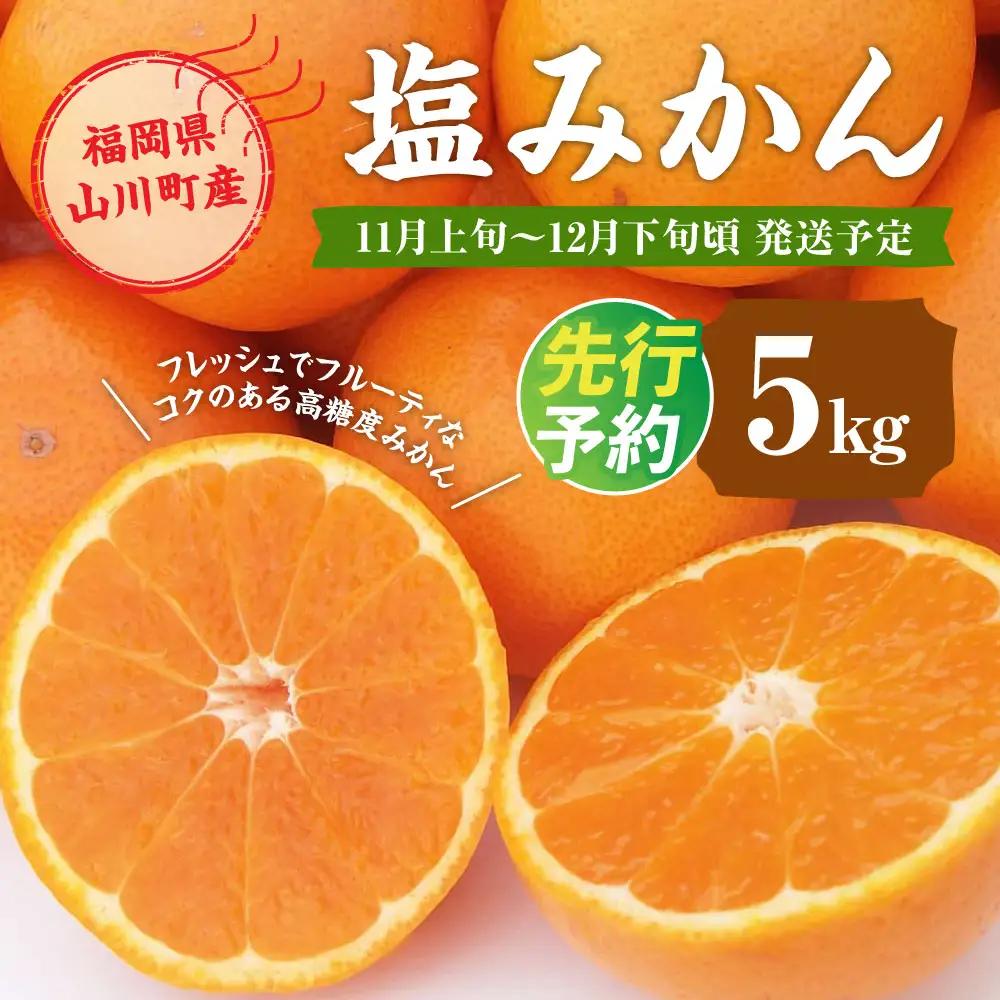 A157 福岡県山川産 塩みかん 5kg 【2026年11月上旬～12月下旬発送予定】 蜜柑 花藻塩