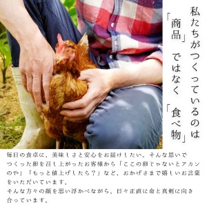 【卵 定期便６か月】赤岩高原たまご 40個×6か月 合計240個（特選）