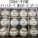 【ふるさと納税】ナインスターズ　硬式ボール 1ダース／野球 ベースボール 野球ボール 硬式 練習球 硬球 硬式球 バッティング練習 トレーニング キャッチボール 守備練習 部活 サークル 社会人野球 草野球