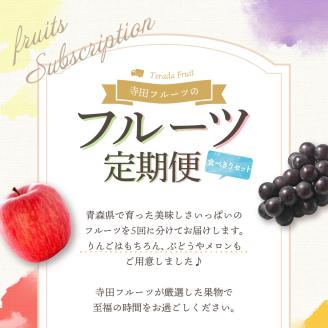 【2024年7月発送開始】フルーツ 定期便 5回 食べきり セット