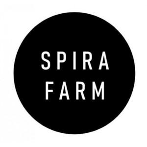 【SPIRA FARM】季節の野菜セット10～12品目入り《農薬・化学肥料は畑での栽培期間中不使用》出雲の自然の恵みを畑からお届け！［出雲 季節の野菜 野菜セット おまかせ 詰め合わせ  新鮮野菜 送