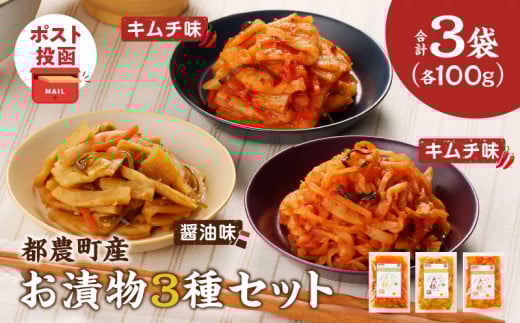 【2週間以内発送】＼ポスト投函／≪都農町産≫お漬物3種セット(合計3袋) 野菜 加工品 国産_T003-018