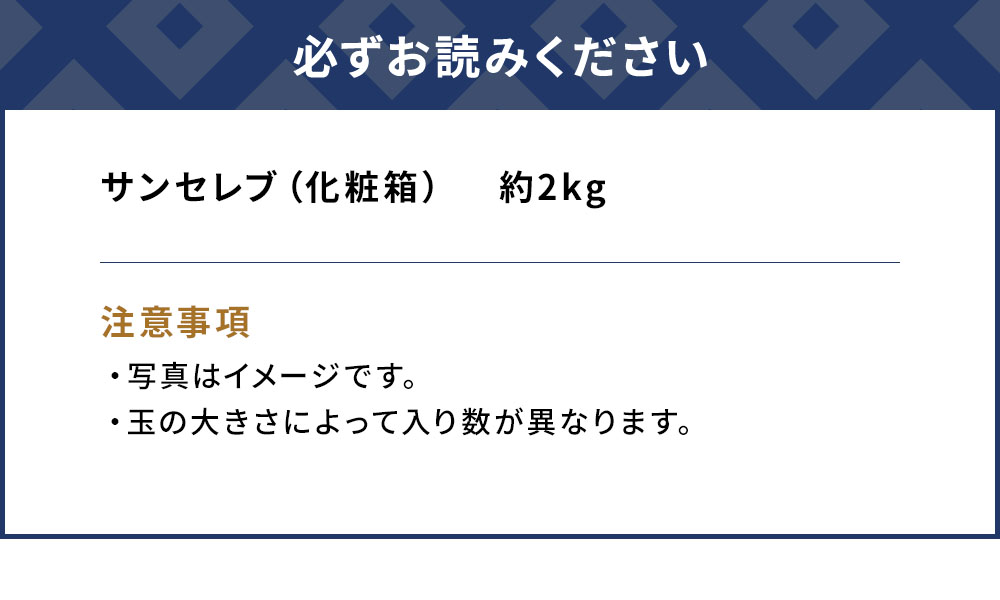 まるでゼリーのようなプルプル食感!サンセレブ約2kg(化粧箱) ミカン みかん オレンジ 柑橘 大分県産 九州産 津久見市 国産